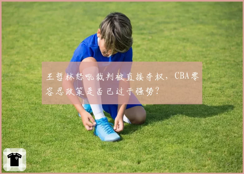 王哲林怒吼裁判被直接夺权，CBA零容忍政策是否已过于强势？