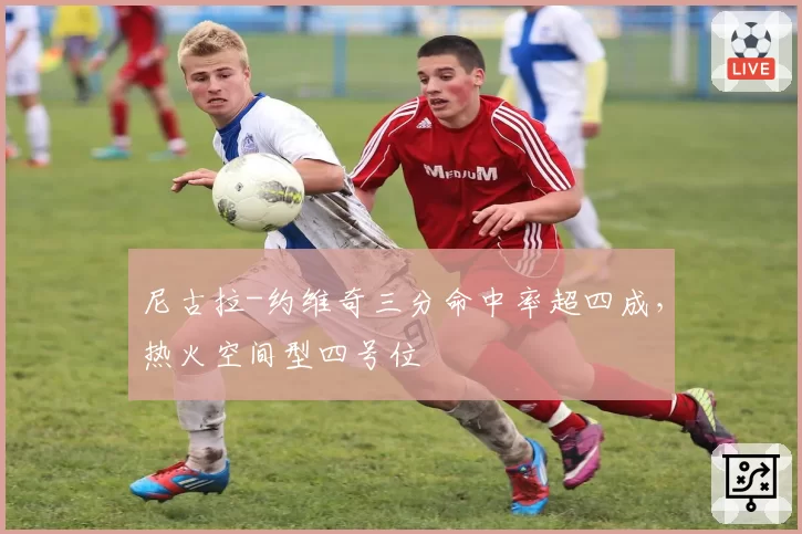 尼古拉-约维奇三分命中率超四成，热火空间型四号位