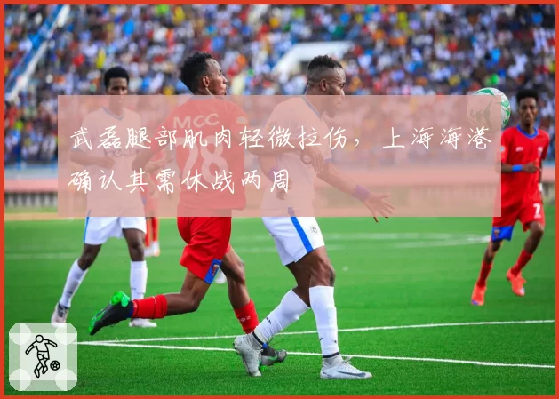武磊腿部肌肉轻微拉伤,上海海港确认其需休战两周
