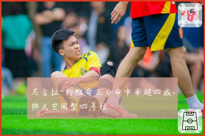 尼古拉-约维奇三分命中率超四成，热火空间型四号位