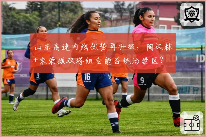 山东高速内线优势再升级，陶汉林+朱荣振双塔组合能否统治禁区？