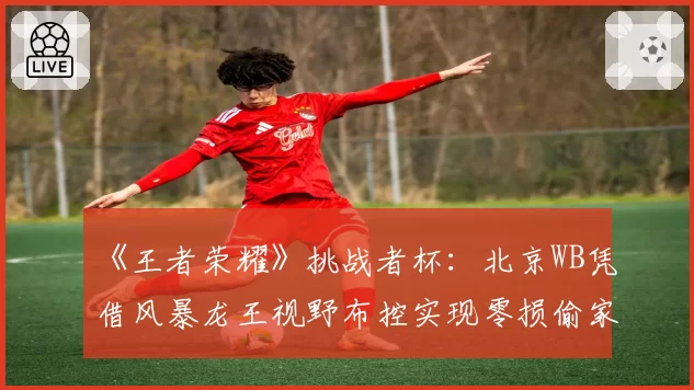 《王者荣耀》挑战者杯：北京WB凭借风暴龙王视野布控实现零损偷家