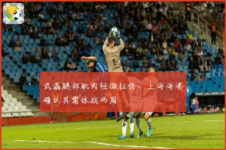 武磊腿部肌肉轻微拉伤，上海海港确认其需休战两周