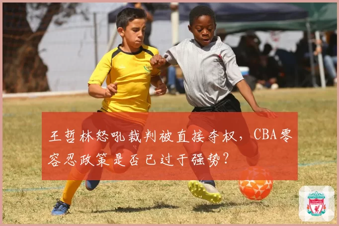 王哲林怒吼裁判被直接夺权，CBA零容忍政策是否已过于强势？